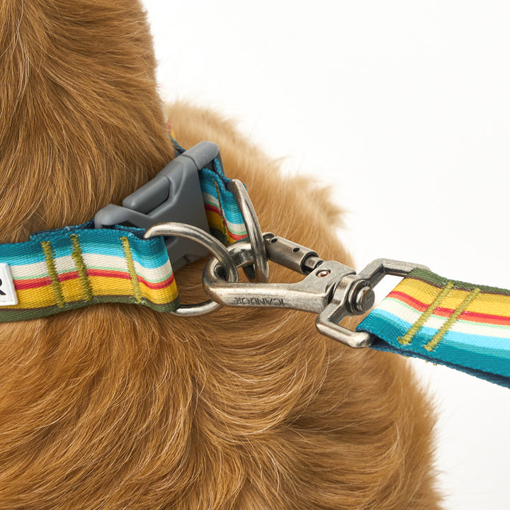 Gentle Collar Dual_Ripple