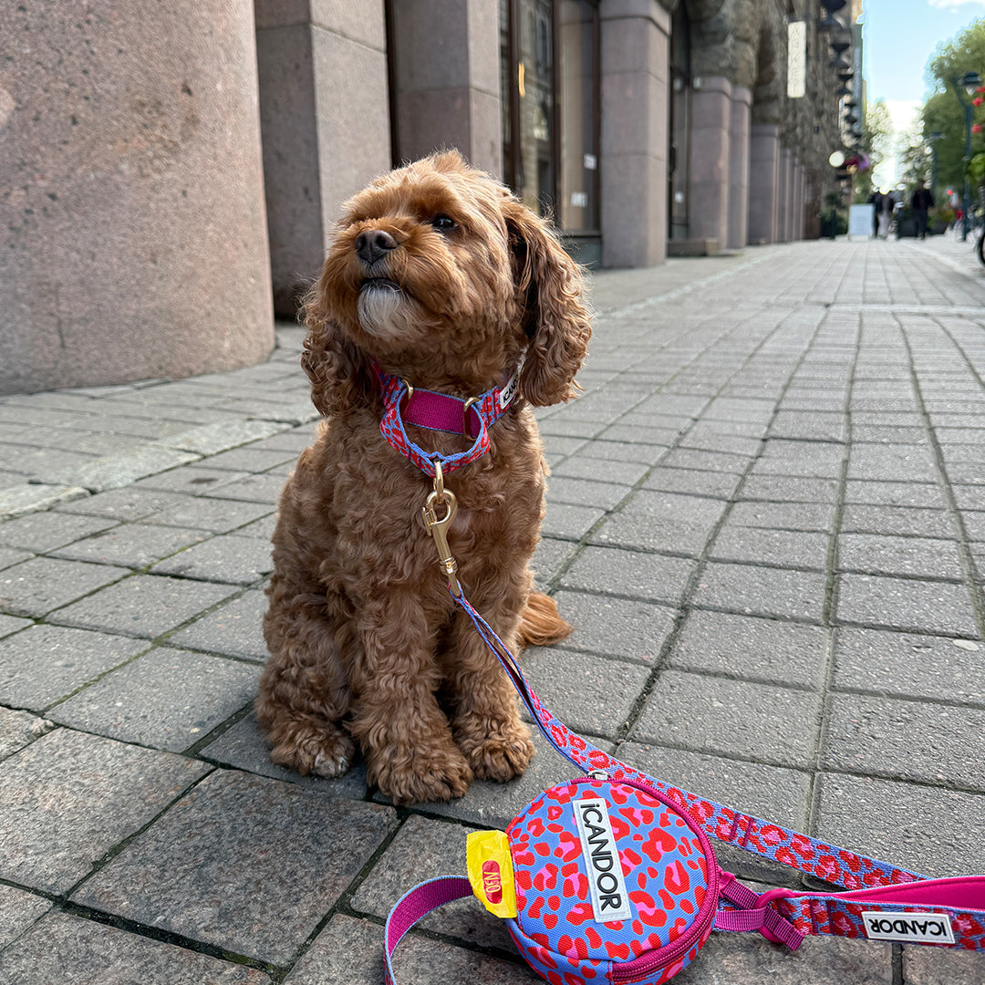 Gentle Leash_Leopard Lavender Blue