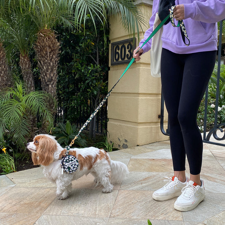 No-Pull Harness_Big Fish