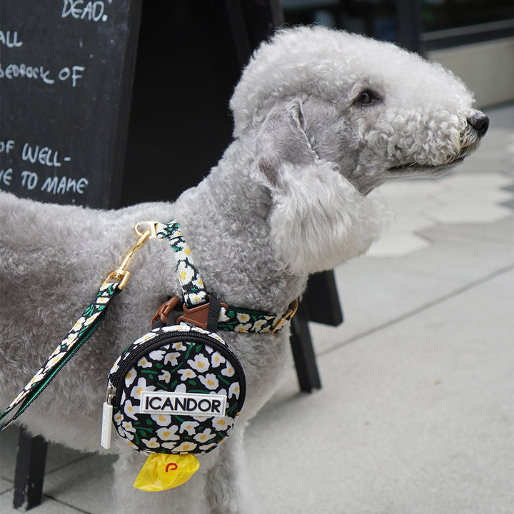 No-Pull Harness_Big Fish