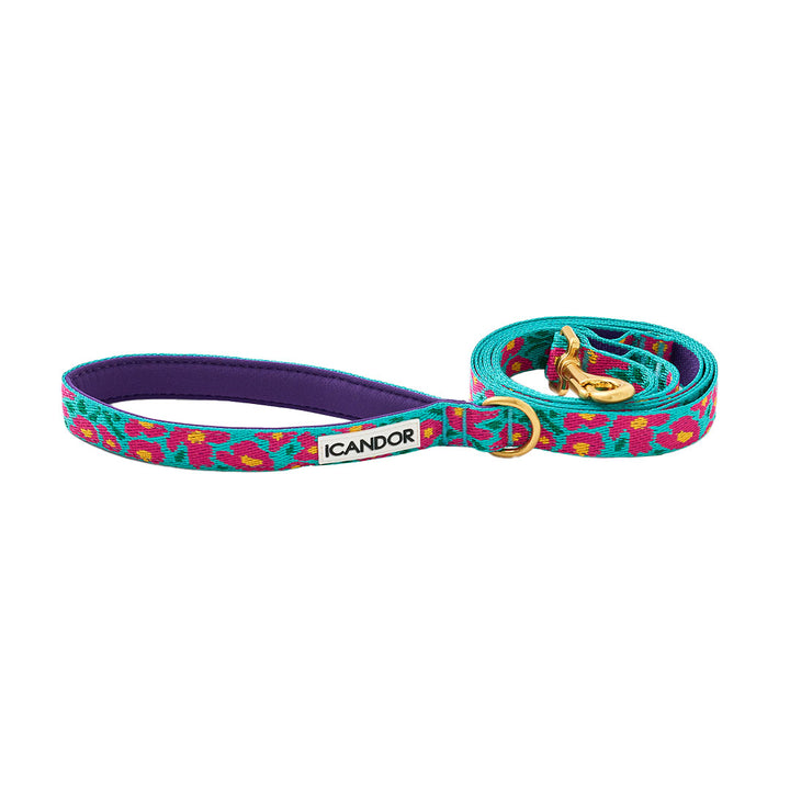 Gentle Leash_Big Fish_Mint