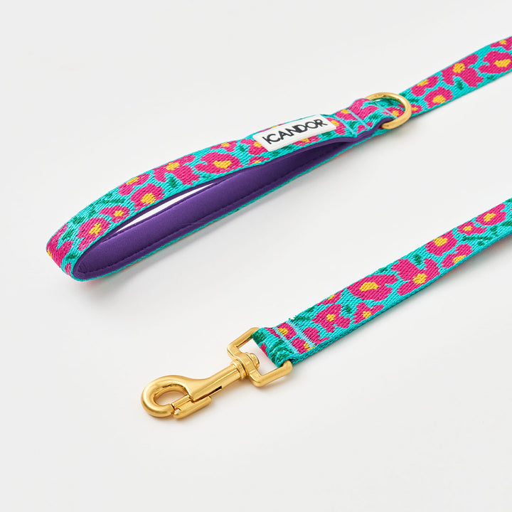 Gentle Leash_Big Fish_Mint