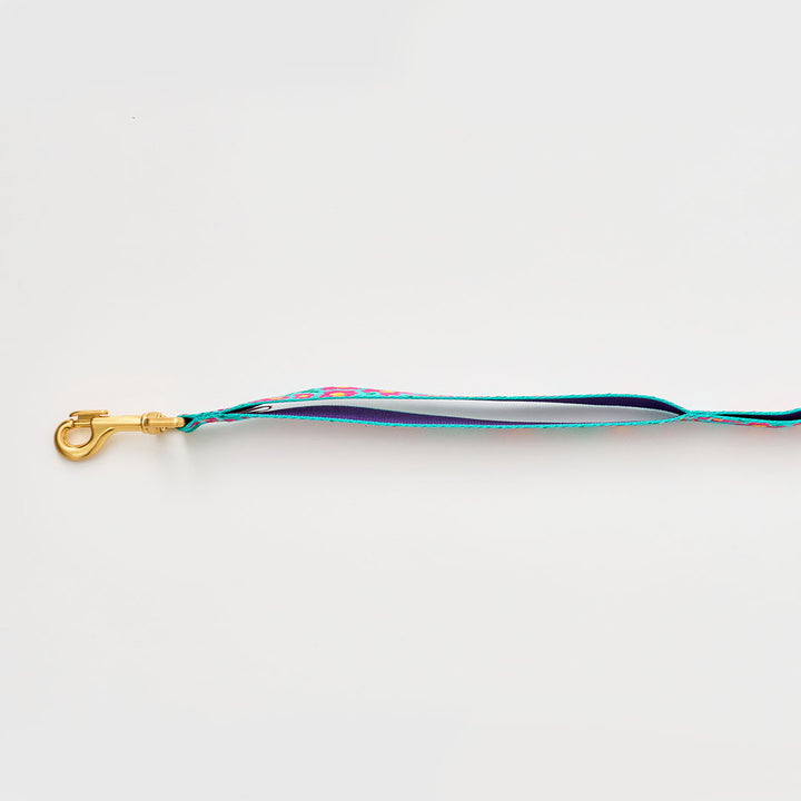 Gentle Leash_Big Fish_Mint