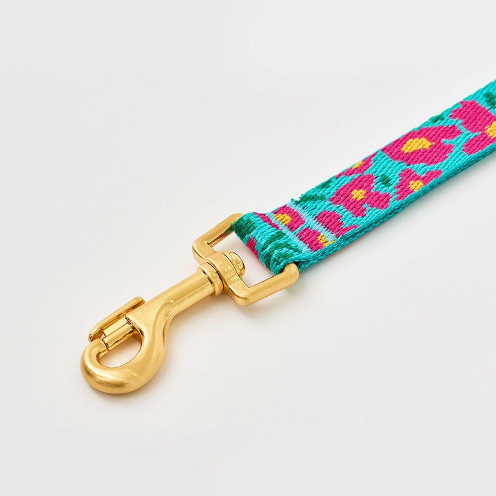 Gentle Leash_Big Fish_Mint