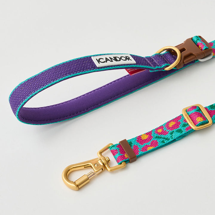 Gentle Leash Bolt, Long_Big Fish Mint