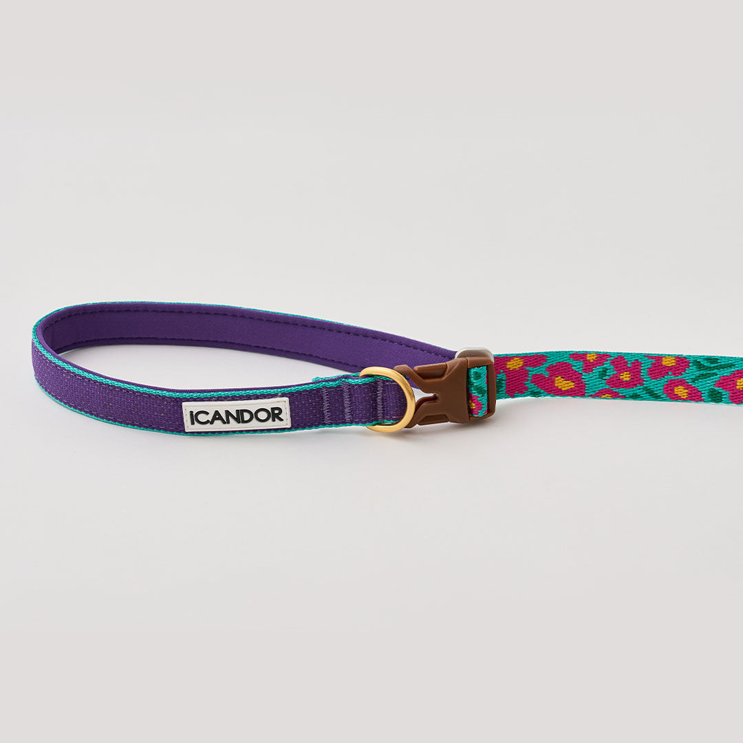 Gentle Leash Bolt, Long_Big Fish Mint