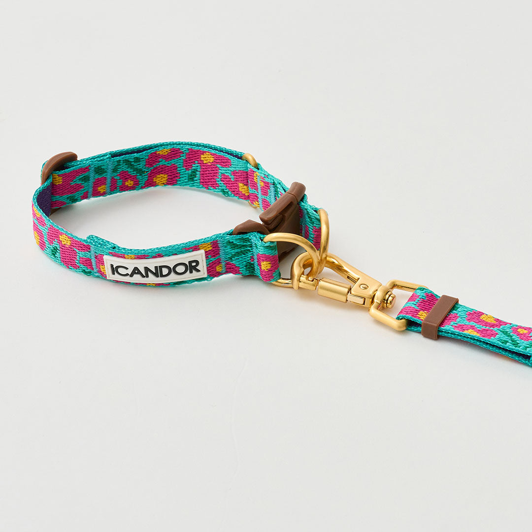 Gentle Leash Bolt, Long_Big Fish Mint