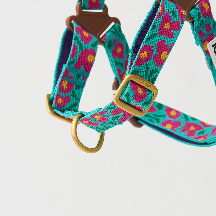 No-Pull Harness_Big Fish Mint