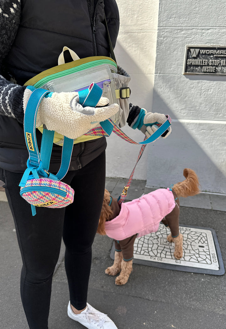 ギャラリー画像