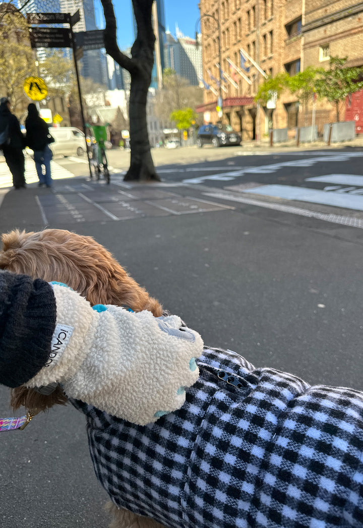 ギャラリー画像