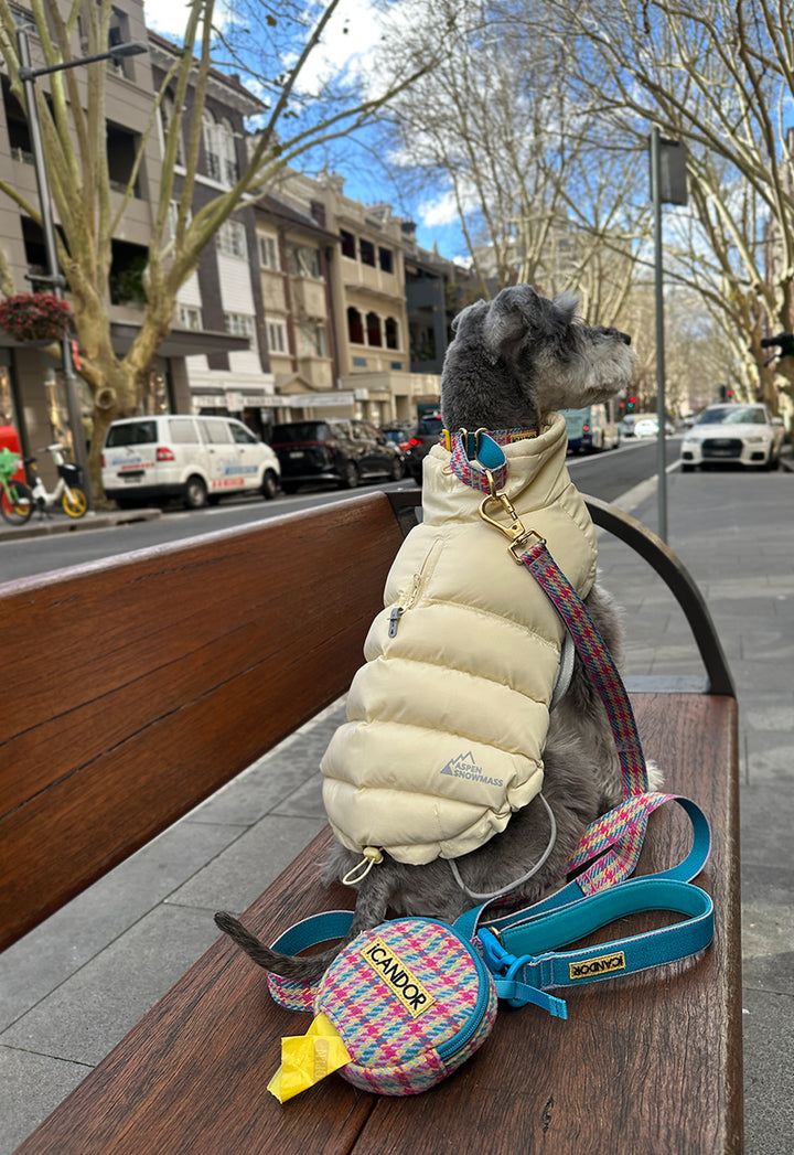 ギャラリー画像