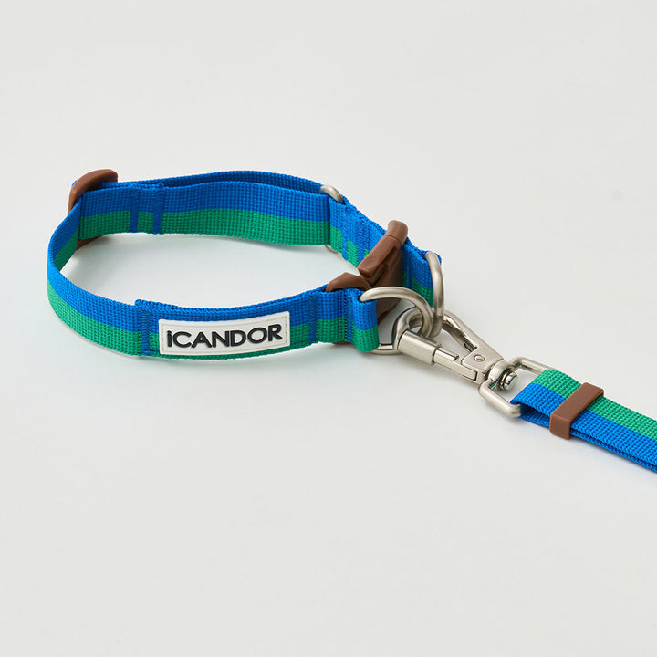 Gentle Leash Bolt, Long_Forest