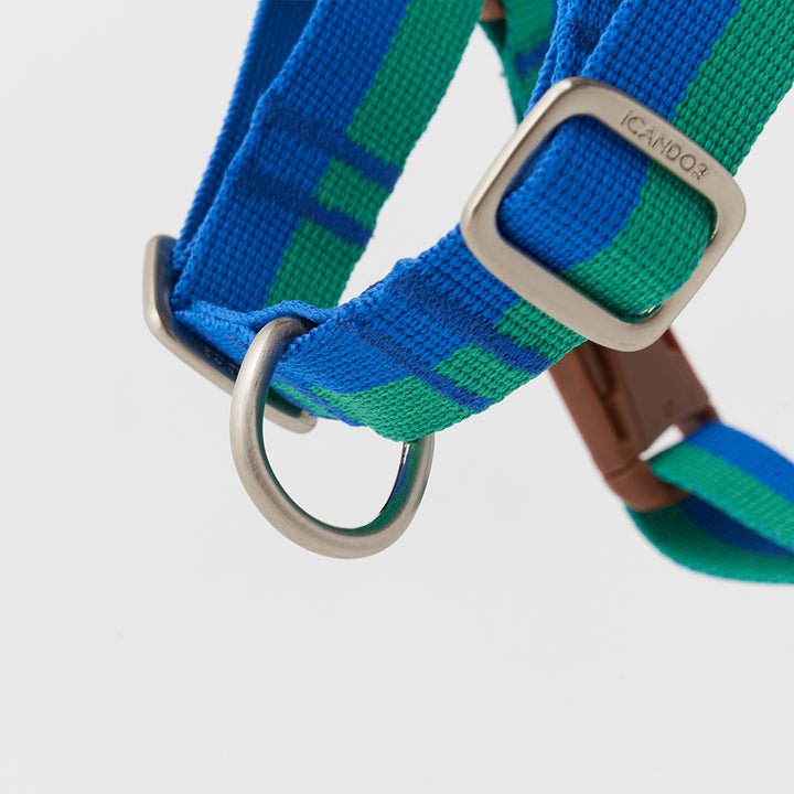 No-Pull Harness_Forest