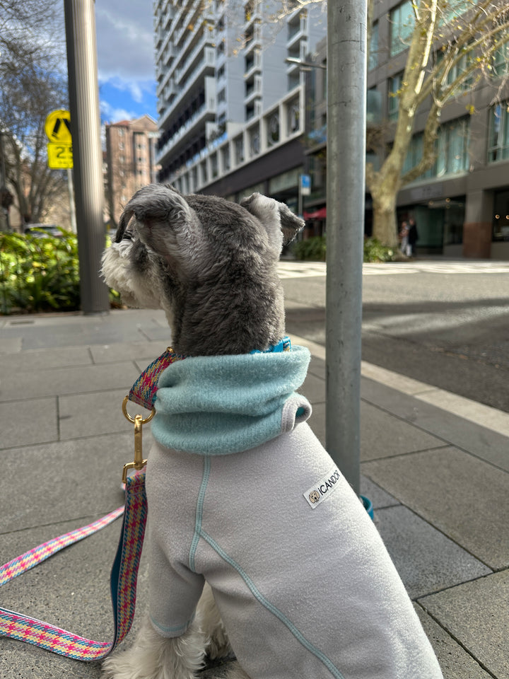 ギャラリー画像