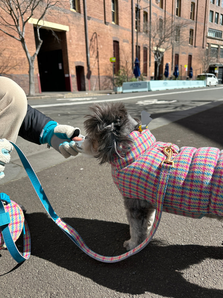 ギャラリー画像