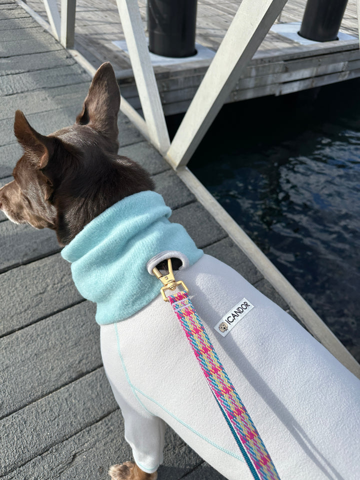 ギャラリー画像