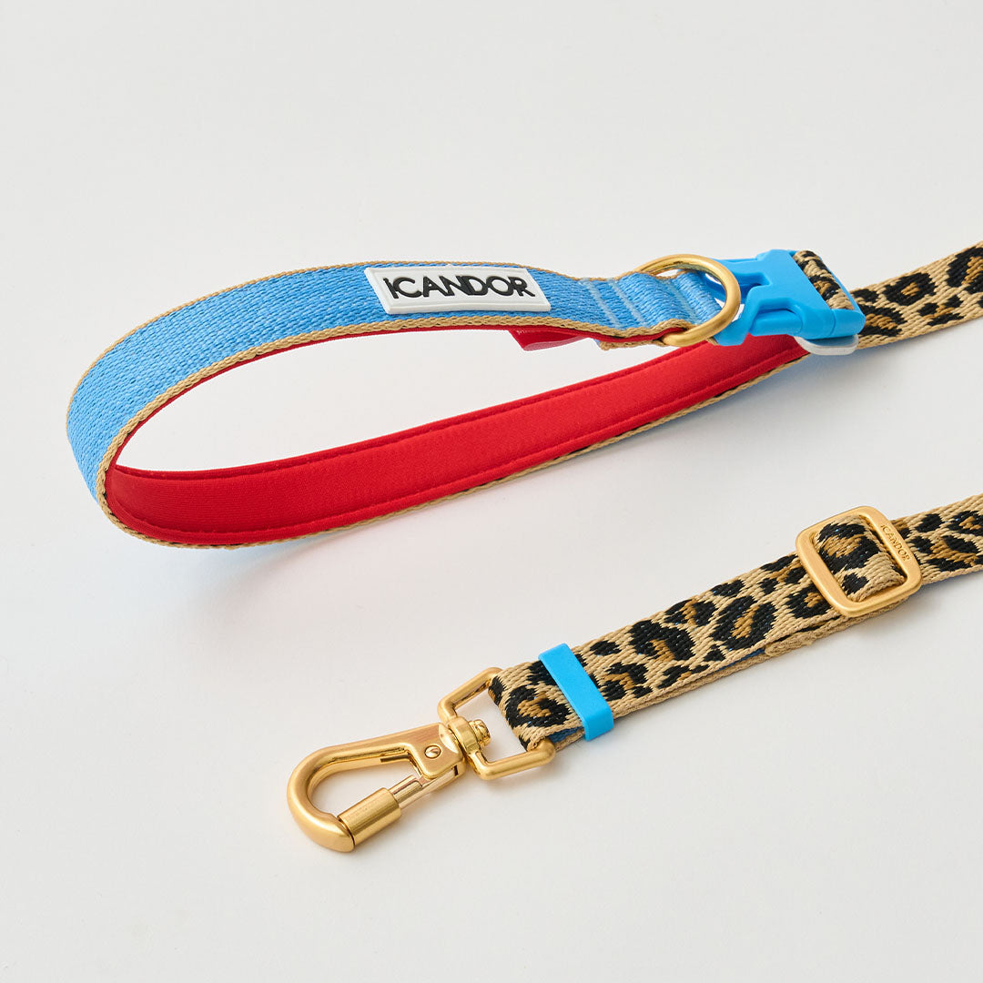 Gentle Leash Bolt, Long_Leopard