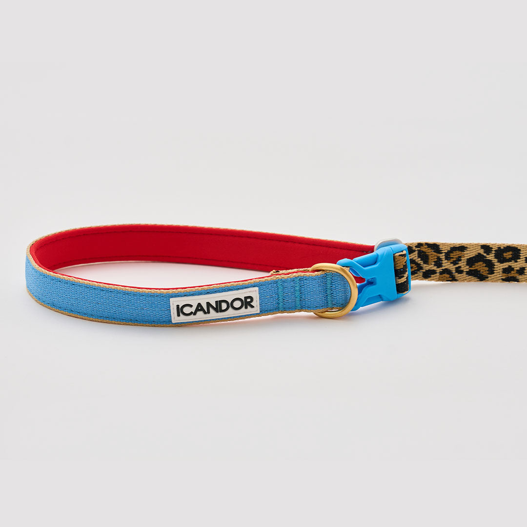 Gentle Leash Bolt, Long_Leopard