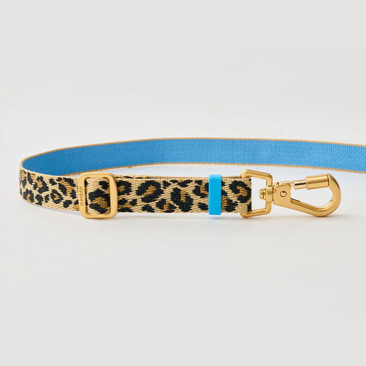 Gentle Leash Bolt, Long_Leopard