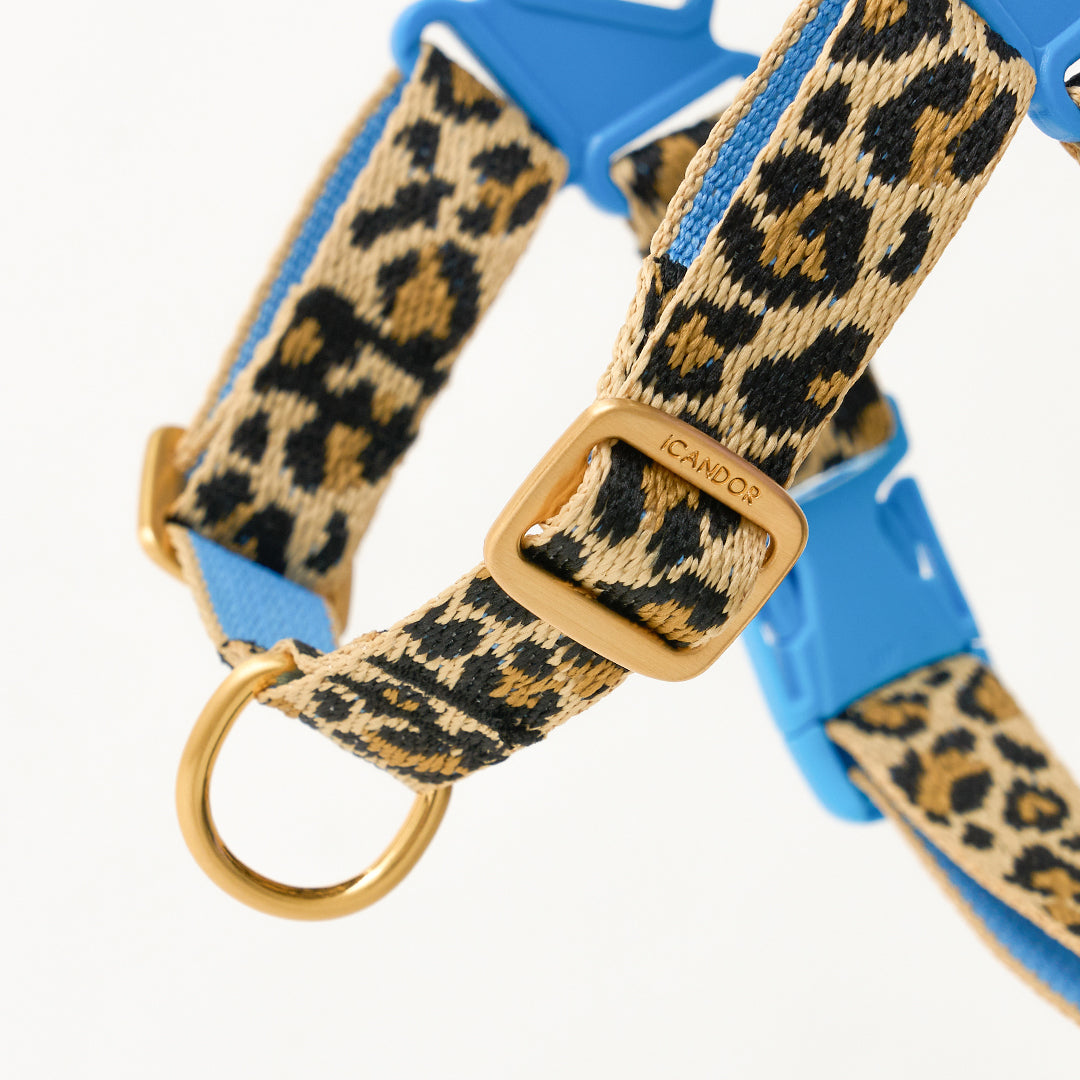 No-Pull Harness_Leopard