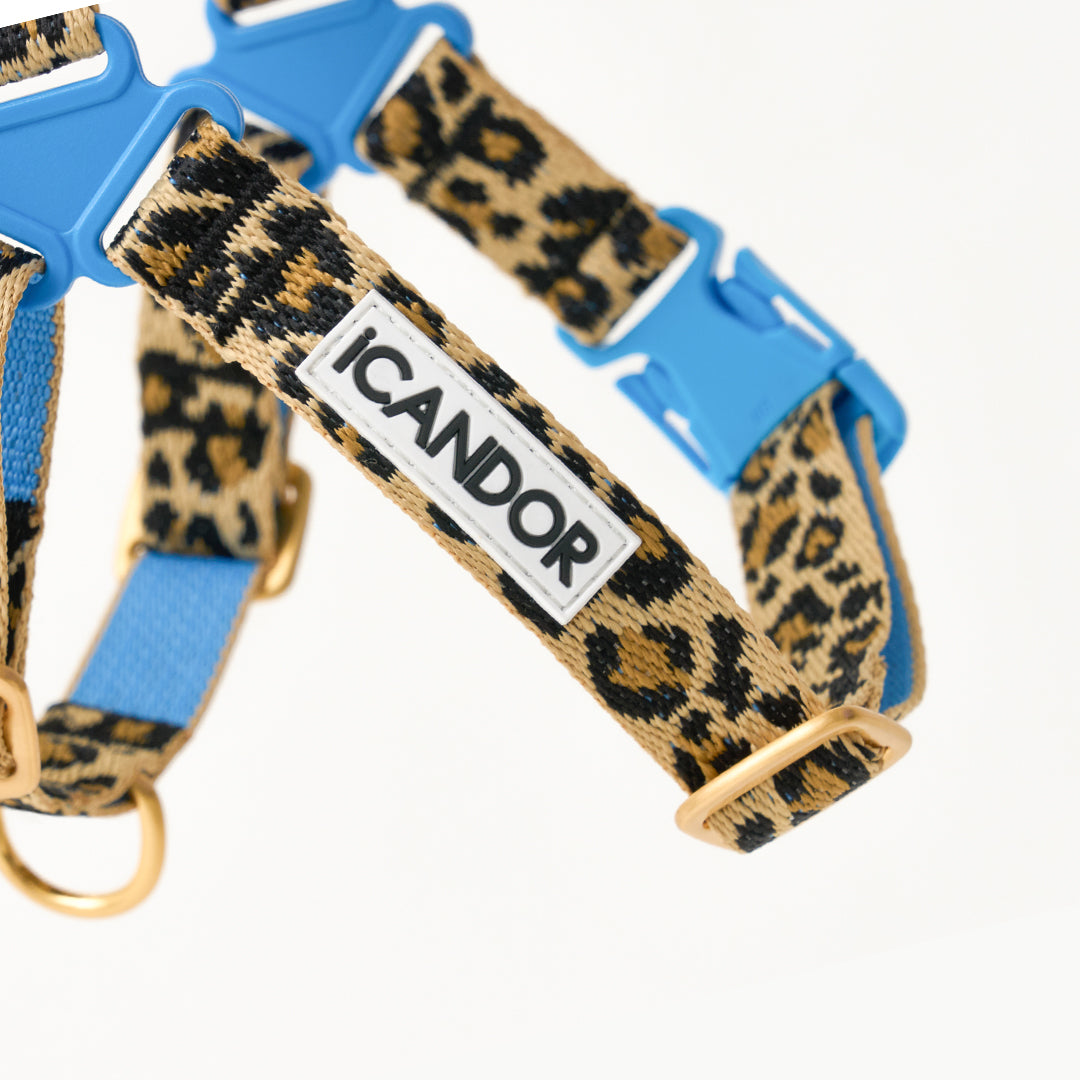No-Pull Harness_Leopard