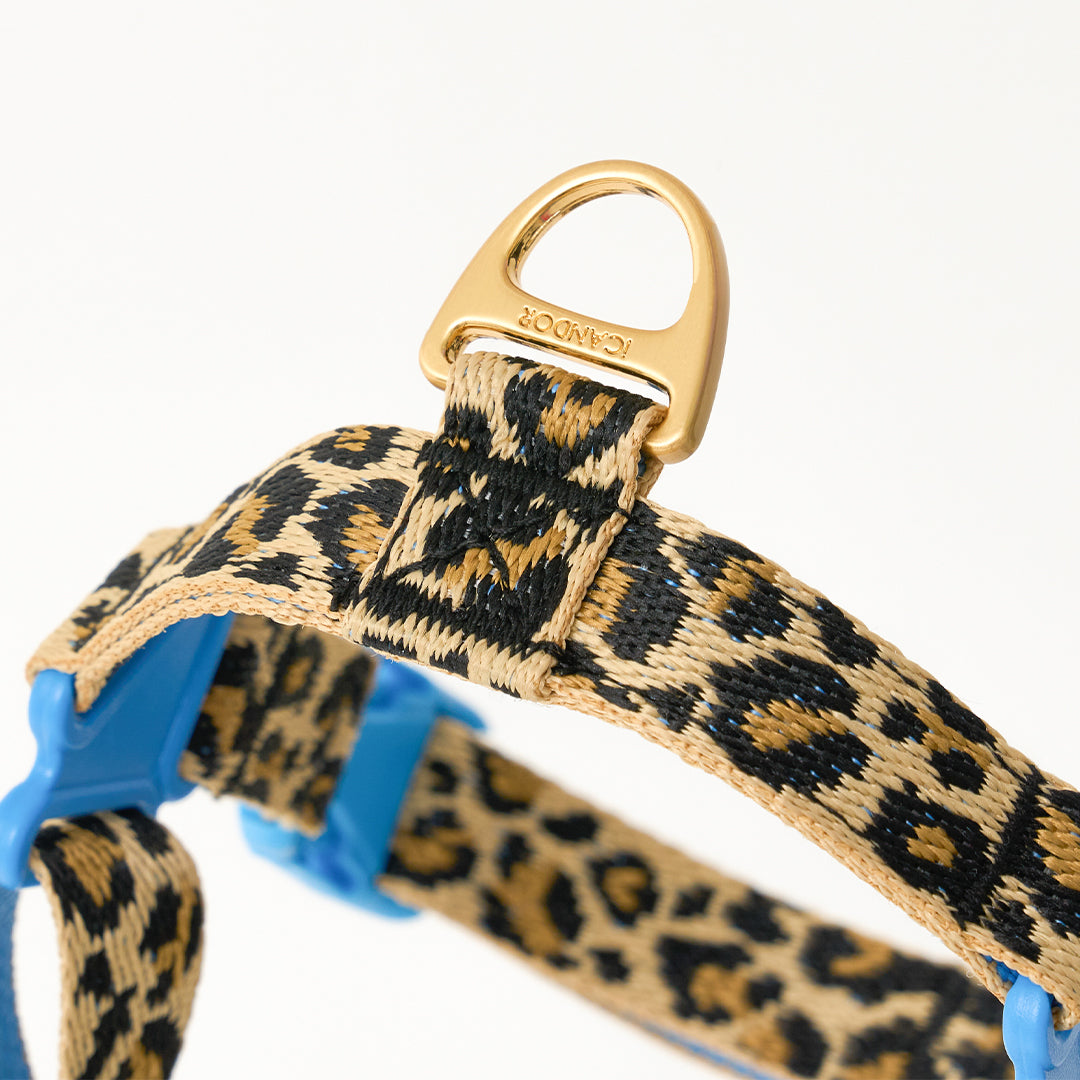 No-Pull Harness_Leopard