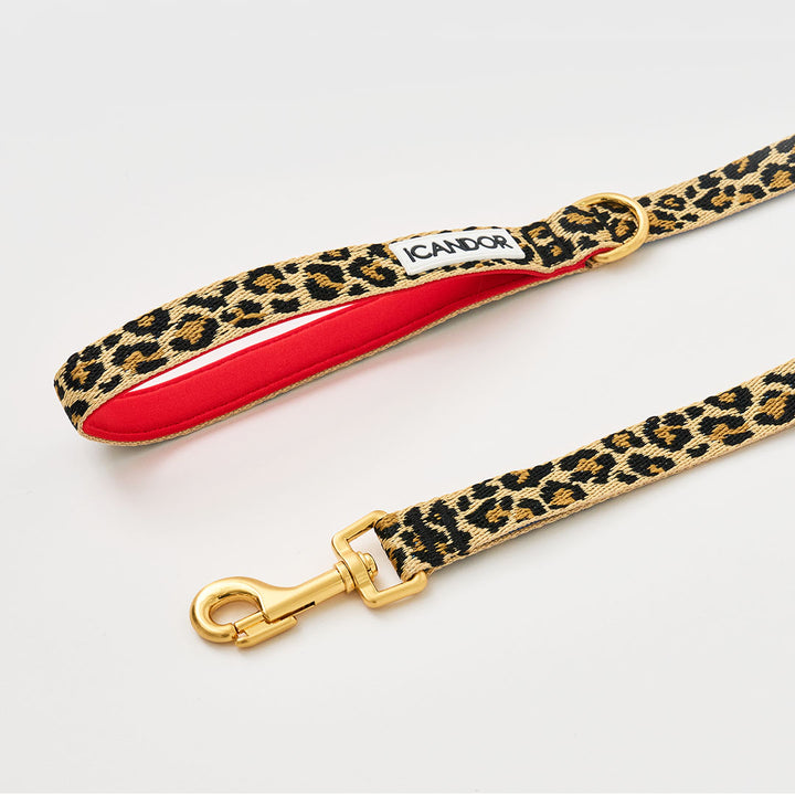Gentle Leash_Leopard