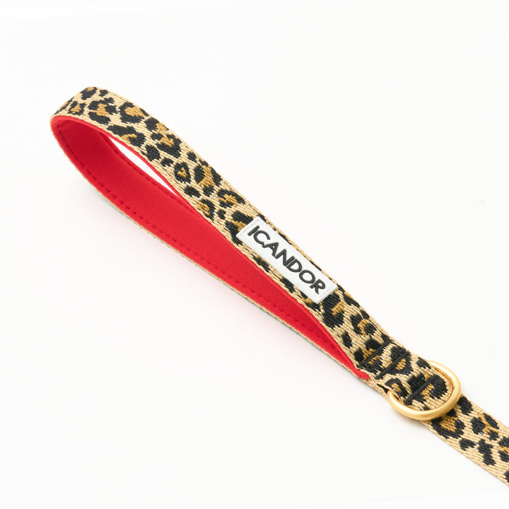 Gentle Leash_Leopard