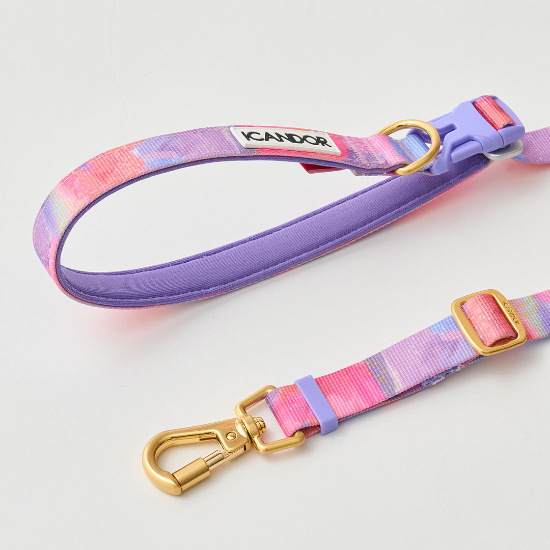 Gentle Leash Bolt, Long_Milky Way