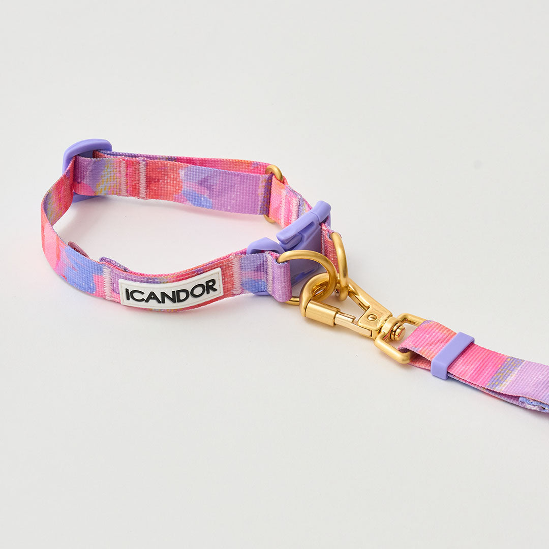 Gentle Leash Bolt, Long_Milky Way