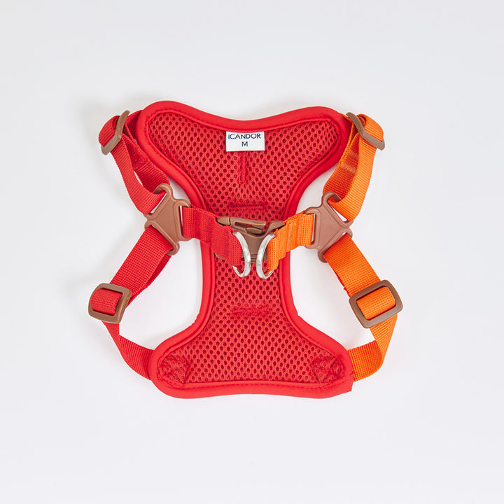 Snuggle Harness_Sunset
