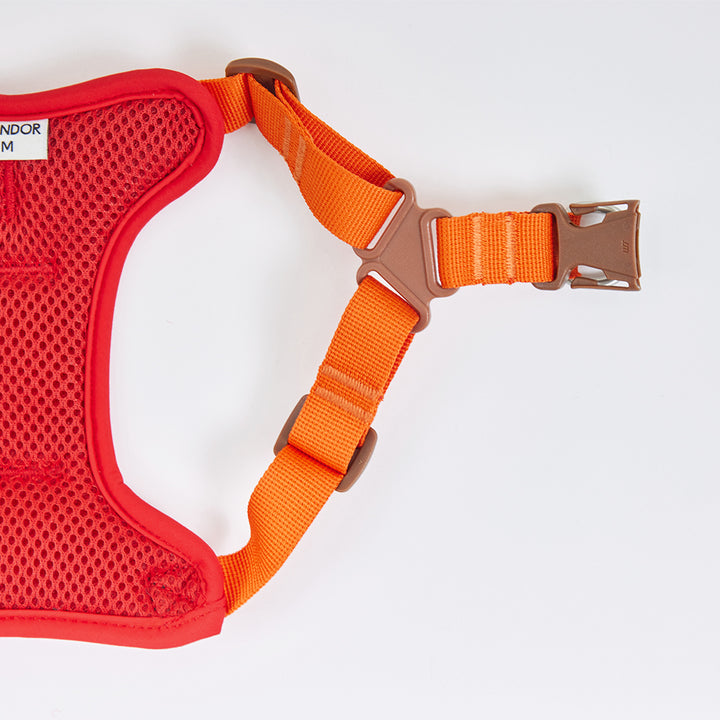 Snuggle Harness_Sunset