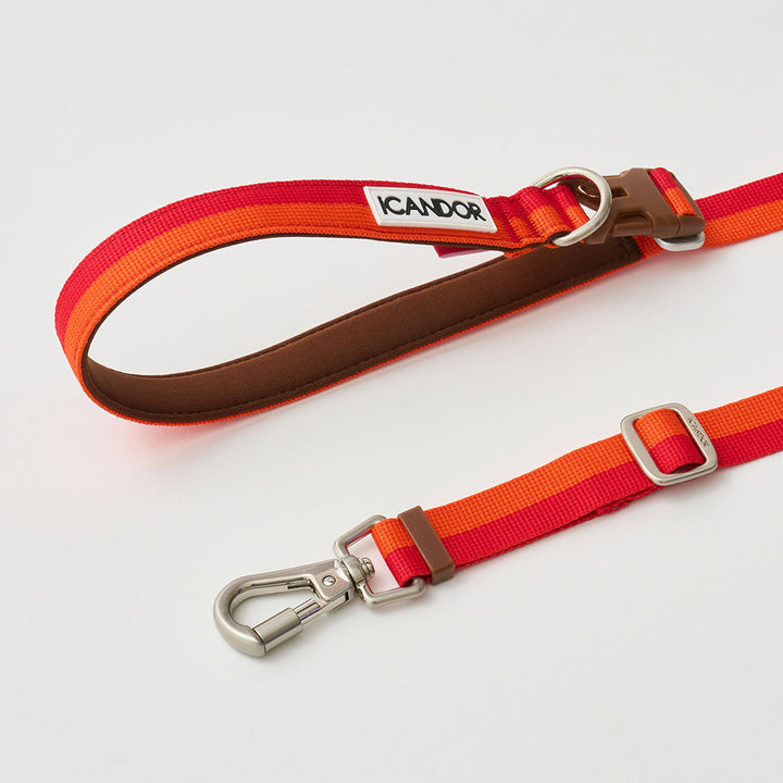 Gentle Leash Bolt, Long_Sunset
