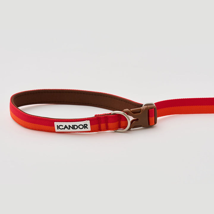 Gentle Leash Bolt, Long_Sunset