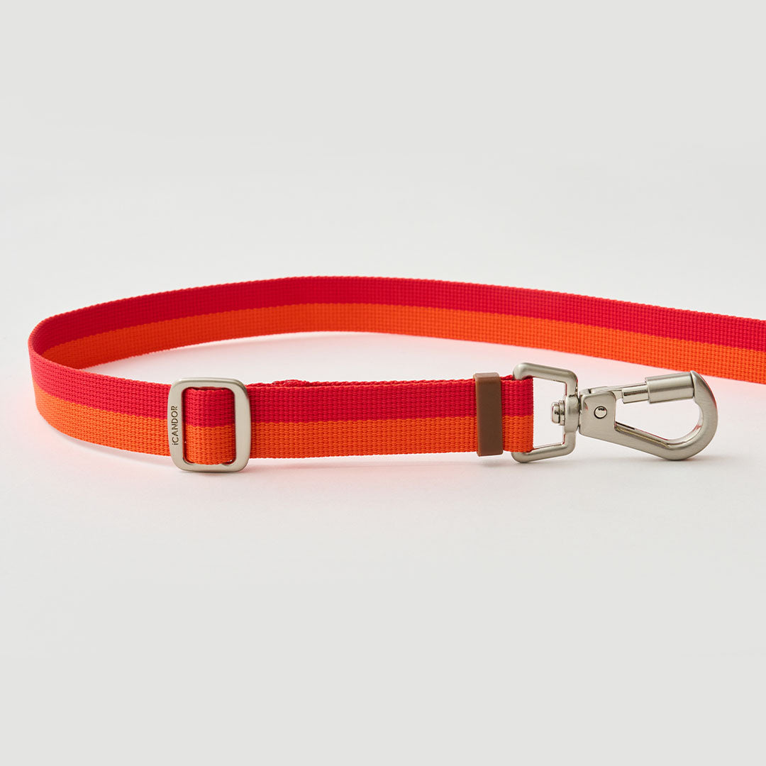 Gentle Leash Bolt, Long_Sunset