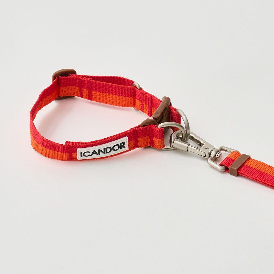 Gentle Leash Bolt, Long_Sunset