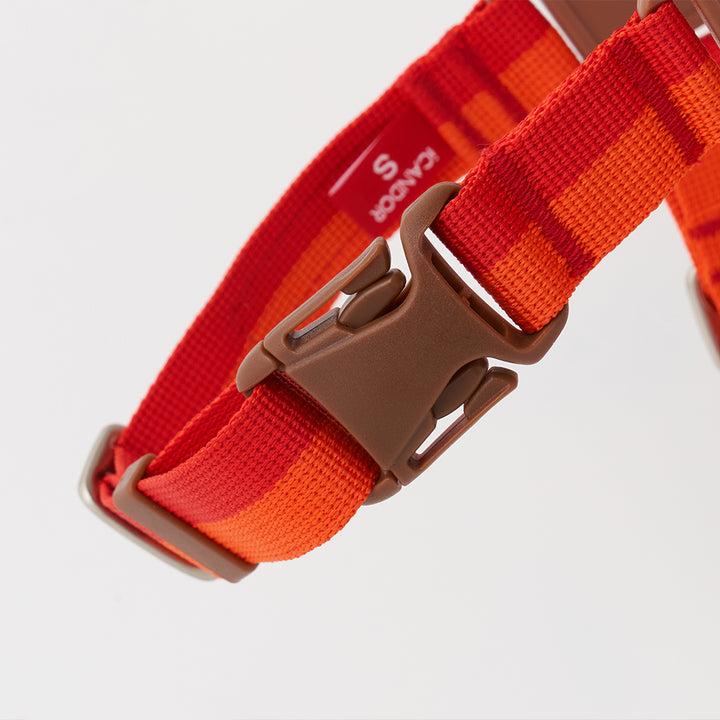 No-Pull Harness_Sunset