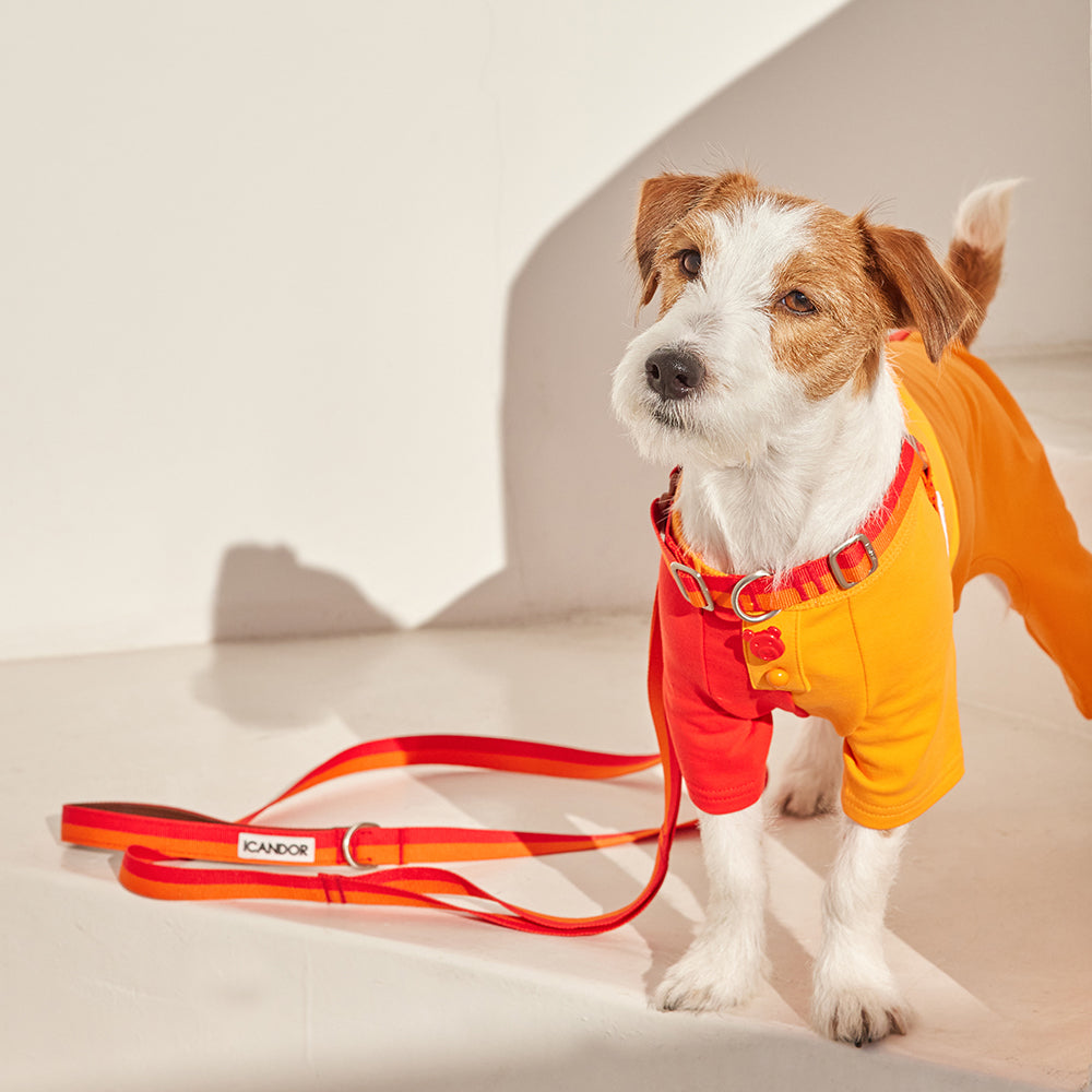 溫柔的皮帶_日落