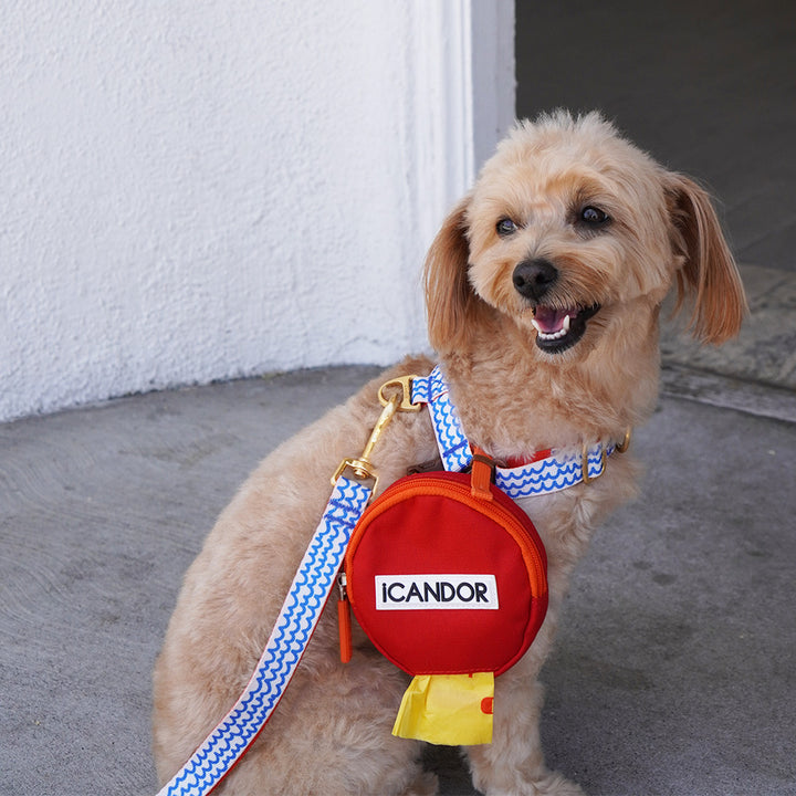 Gentle Leash_Surfrider