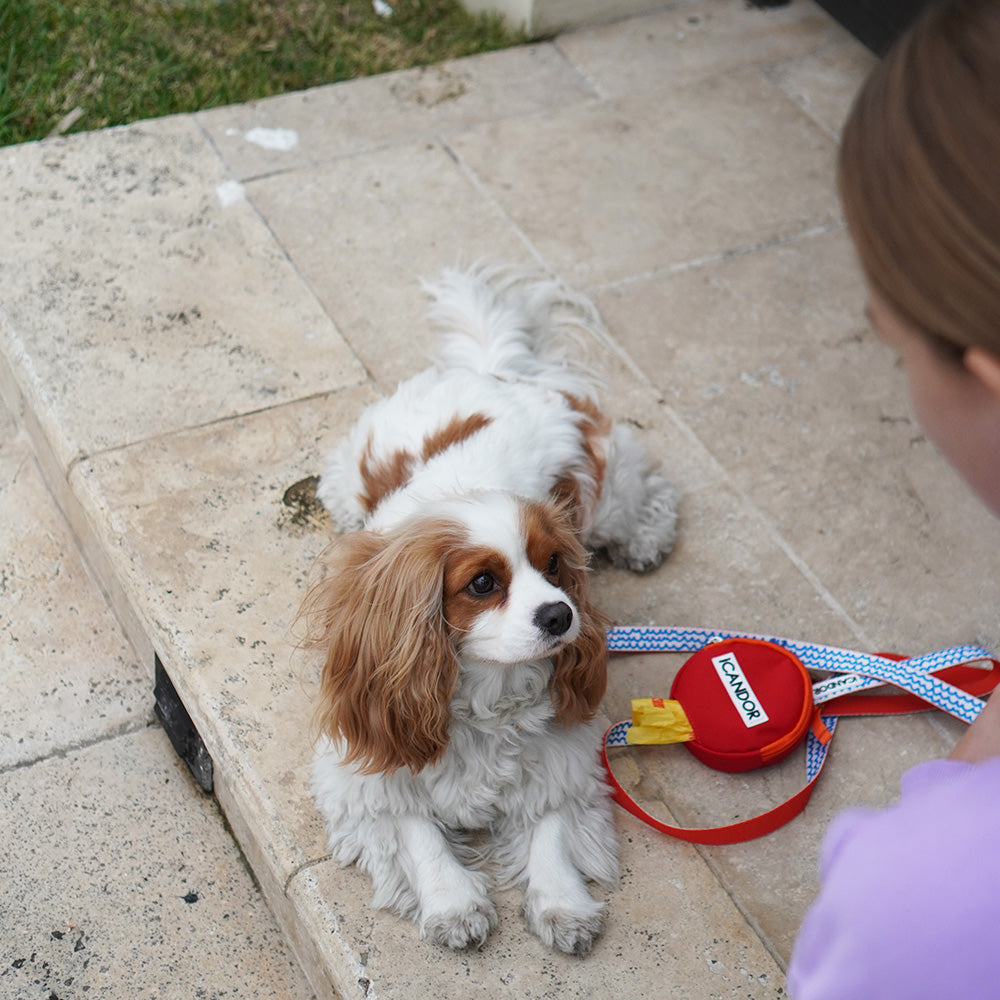 Gentle Leash_Surfrider
