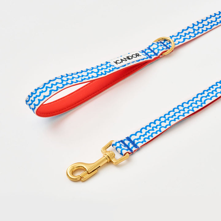 Gentle Leash_Surfrider