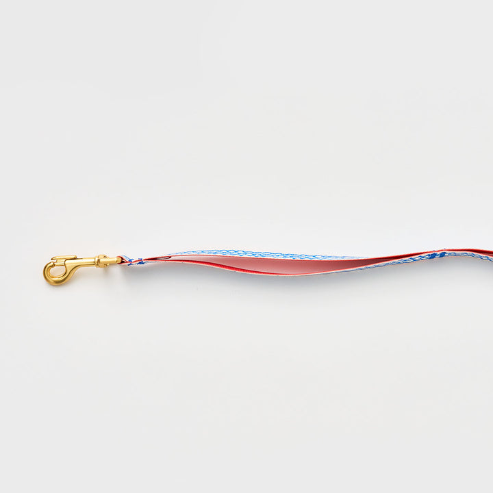 Gentle Leash_Surfrider