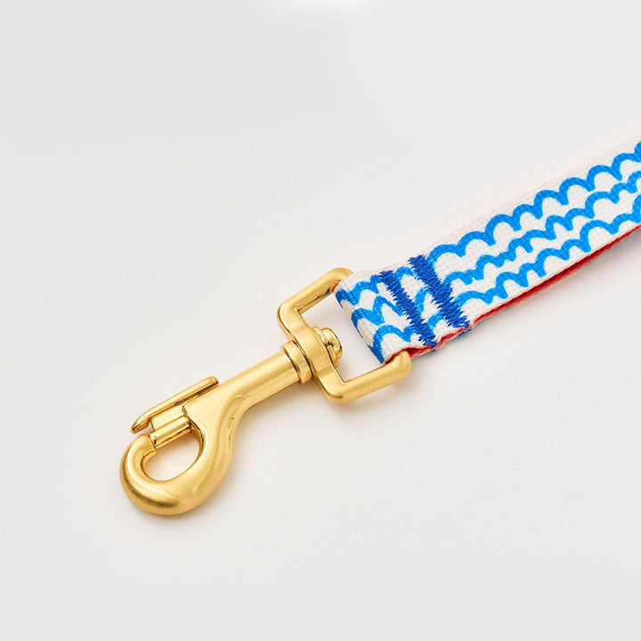 Gentle Leash_Surfrider