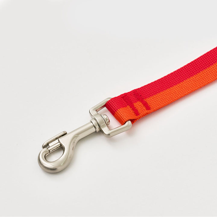Gentle Leash_Sunset