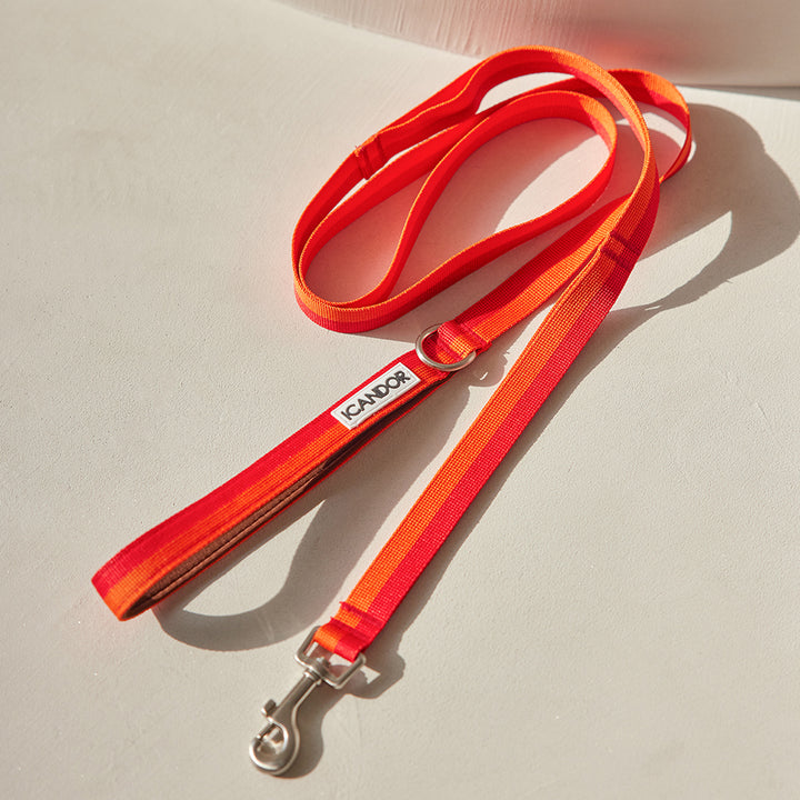 溫柔的皮帶_日落