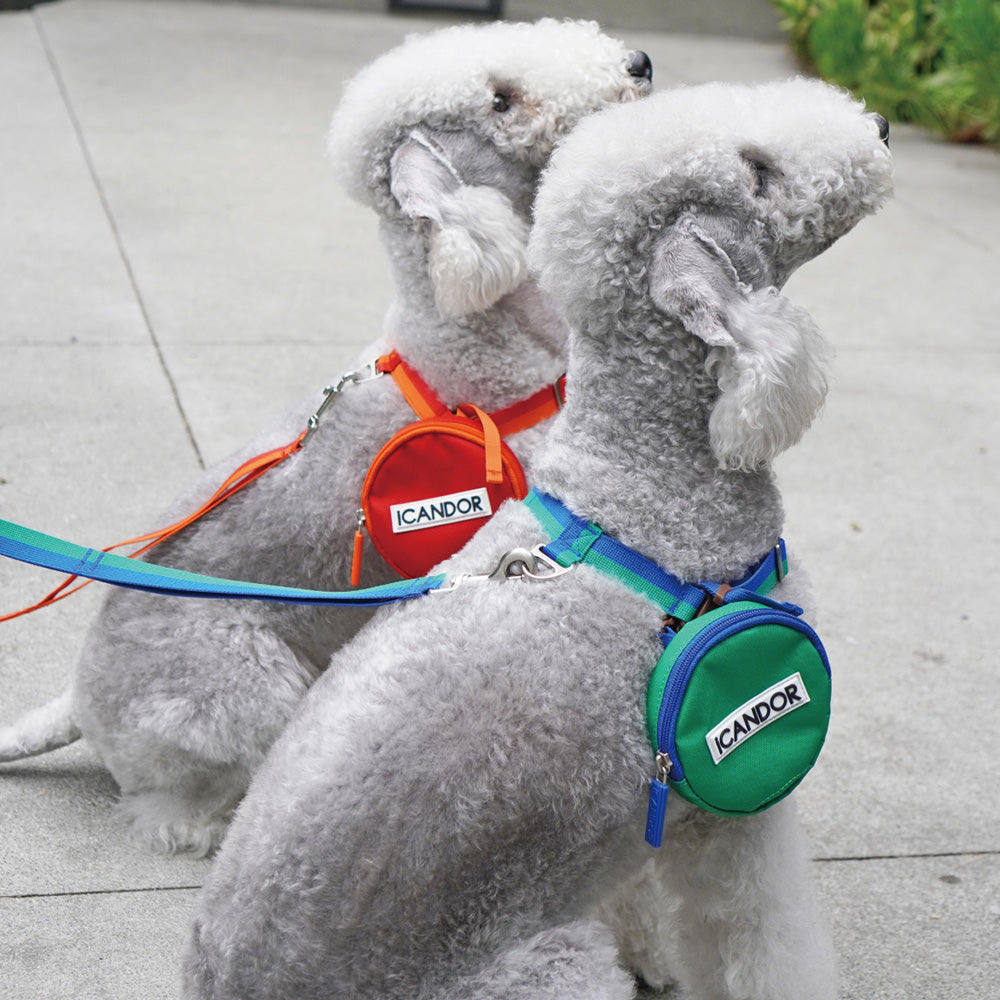 溫柔的皮帶_日落