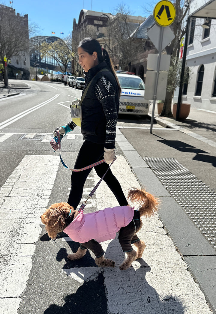 ギャラリー画像