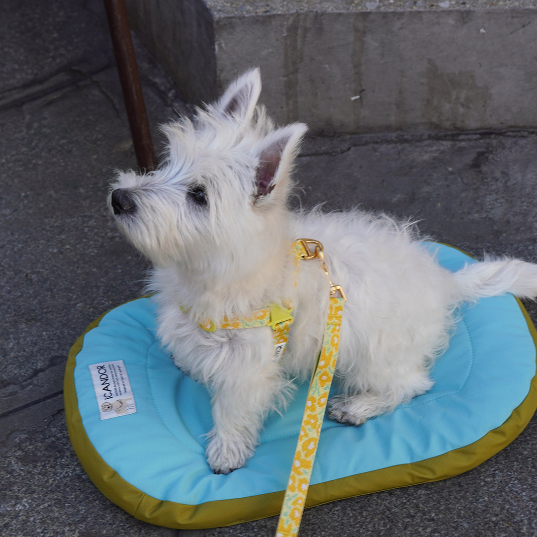 Urban Nest Cushion_Mint