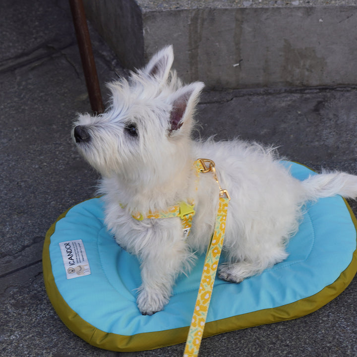 Urban Nest Cushion_Mint