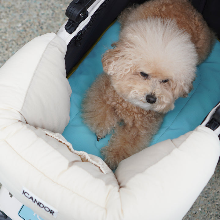 Urban Nest Cushion_Mint